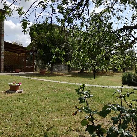 Agriturismo Podere Selvette Campagnatico Bagian luar foto