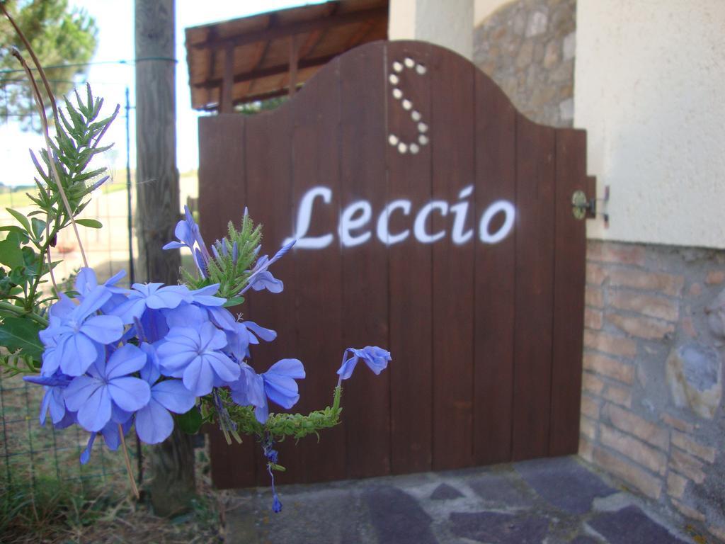 Agriturismo Podere Selvette Campagnatico Bagian luar foto