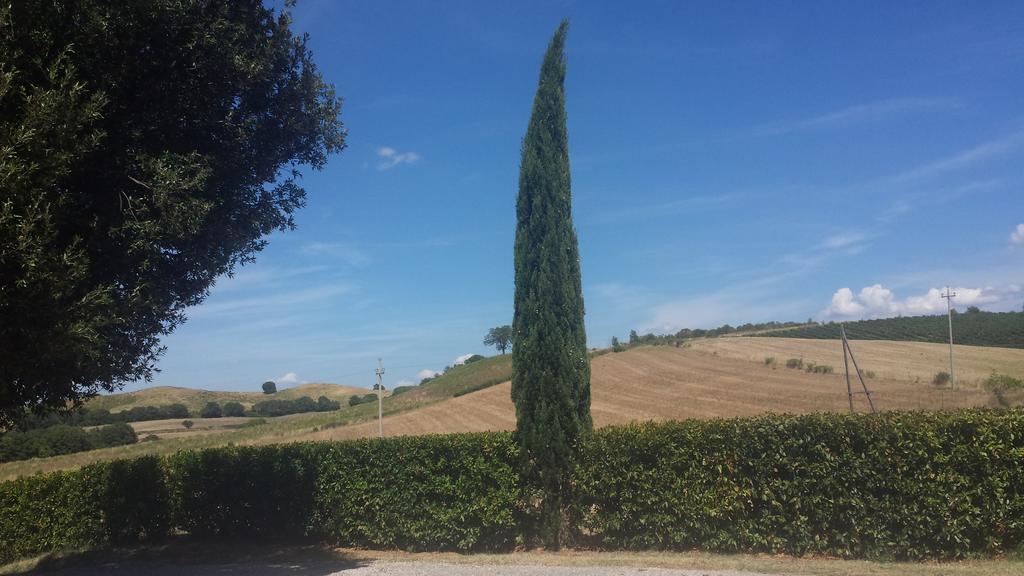 Agriturismo Podere Selvette Campagnatico Bagian luar foto