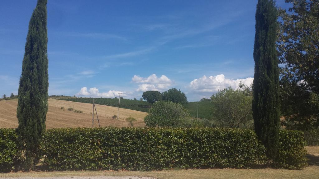 Agriturismo Podere Selvette Campagnatico Bagian luar foto