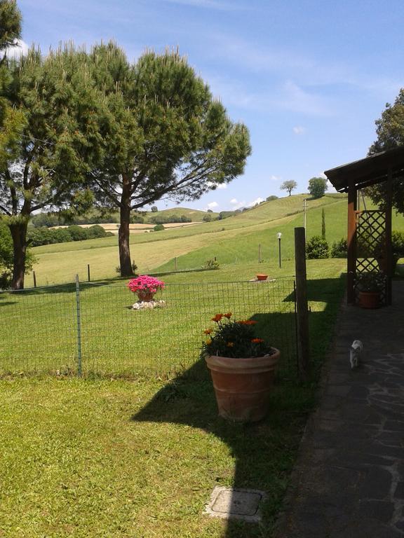 Agriturismo Podere Selvette Campagnatico Bagian luar foto
