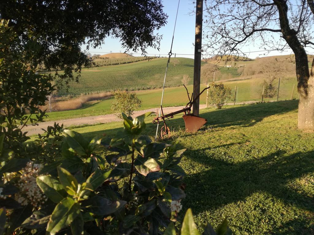Agriturismo Podere Selvette Campagnatico Bagian luar foto
