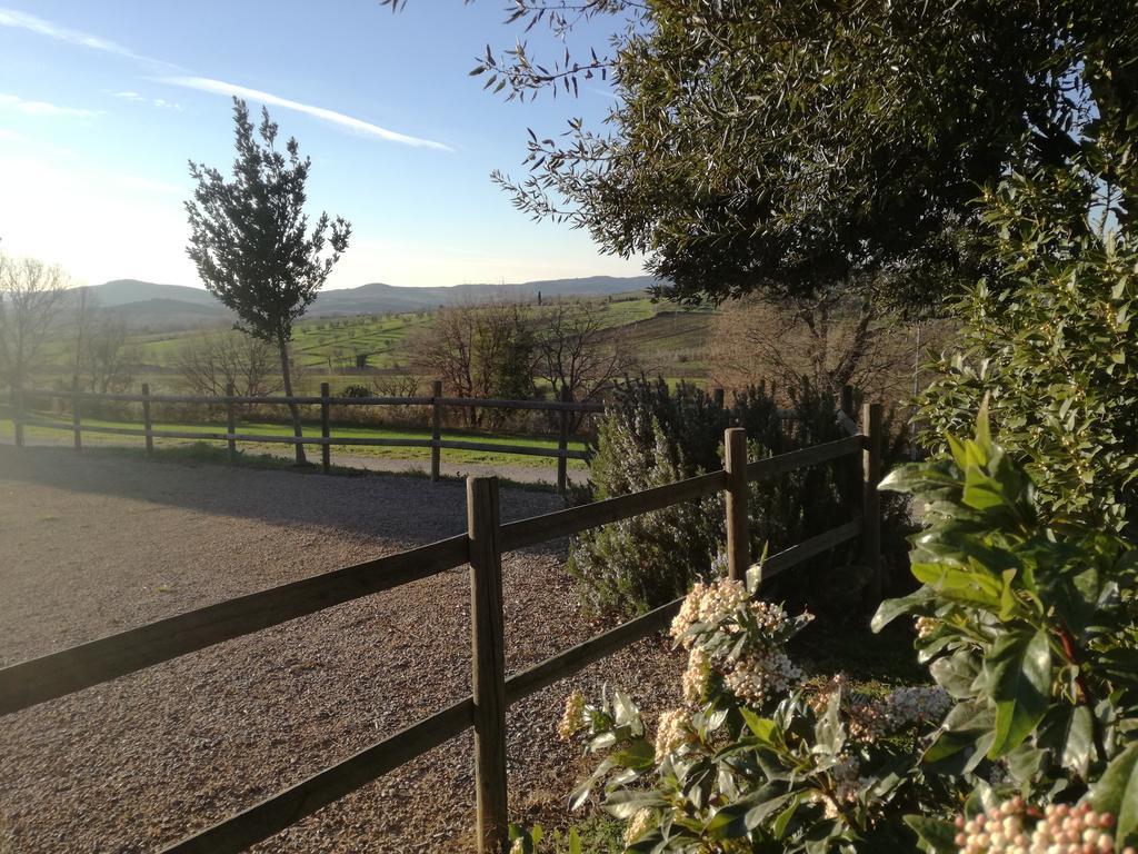 Agriturismo Podere Selvette Campagnatico Bagian luar foto