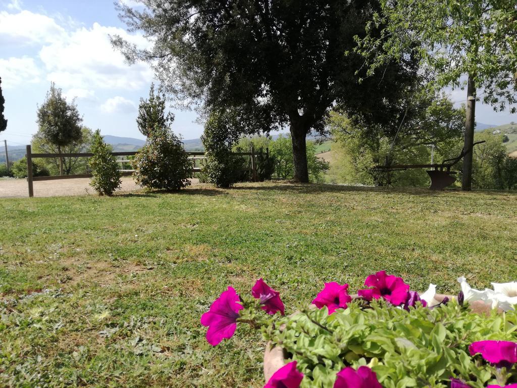 Agriturismo Podere Selvette Campagnatico Bagian luar foto